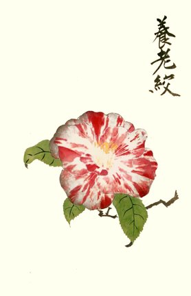 photo24.jpg