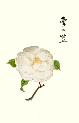 photo3.jpg