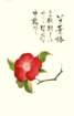 photo5_small.jpg