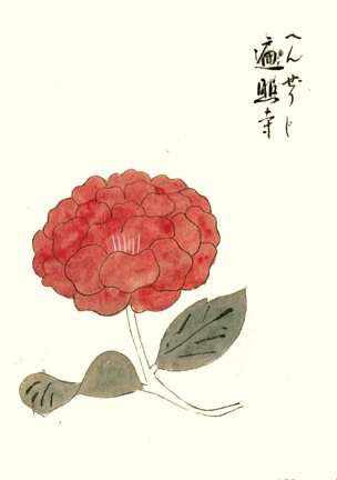 photo.jpg