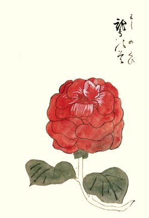 photo10.jpg