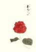 photo12_small.jpg