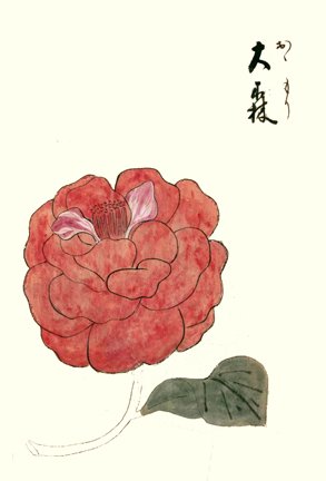 photo13.jpg