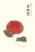 photo15_small.jpg
