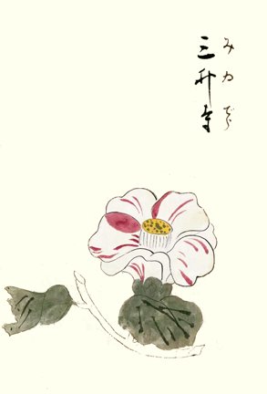 photo19.jpg