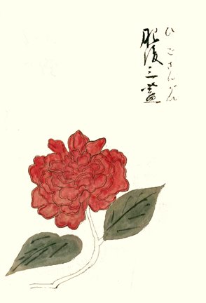 photo21.jpg