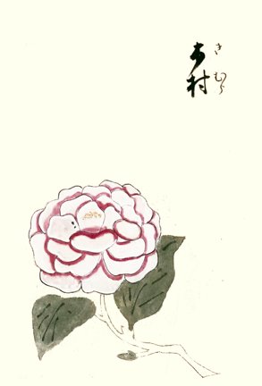 photo23.jpg