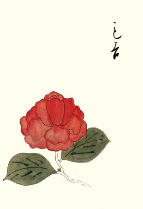 photo25.jpg