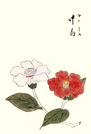 photo26.jpg