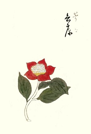 photo29.jpg