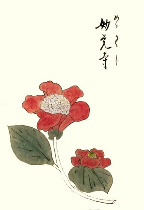 photo33.jpg