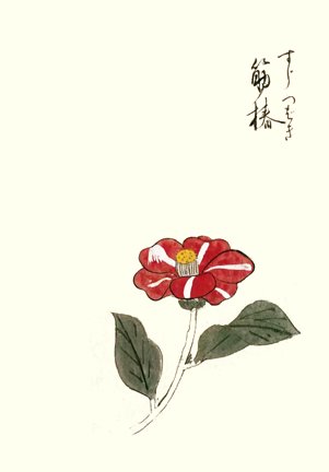 photo34.jpg