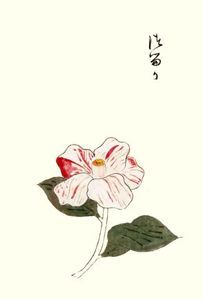 photo36.jpg