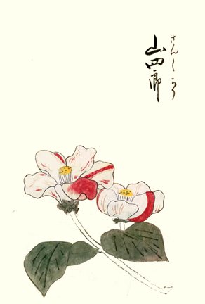 photo37.jpg