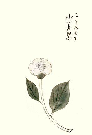 photo46.jpg