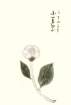 photo46_small.jpg