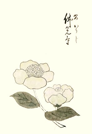 photo55.jpg