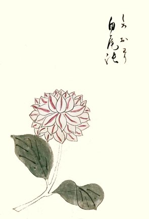 photo9.jpg