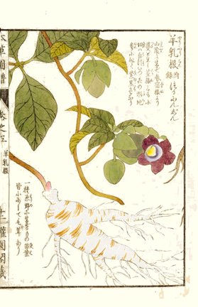 photo12.jpg