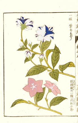 photo16.jpg
