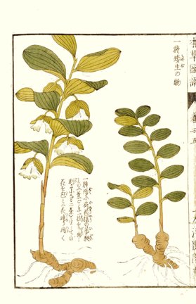 photo21.jpg