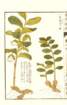 photo21_small.jpg
