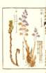 photo25_small.jpg