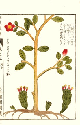 photo26.jpg