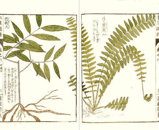 photo36.jpg