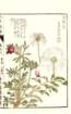 photo56_small.jpg