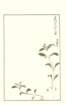 photo106_small.jpg