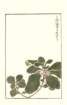 photo108_small.jpg
