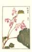 photo109_small.jpg