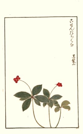 photo11.jpg