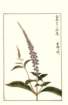 photo110_small.jpg