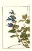 photo113_small.jpg