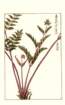 photo115_small.jpg