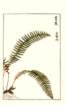 photo116_small.jpg