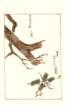photo127_small.jpg