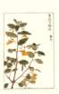 photo128_small.jpg