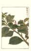 photo130_small.jpg