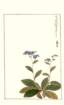 photo131_small.jpg