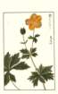 photo13_small.jpg
