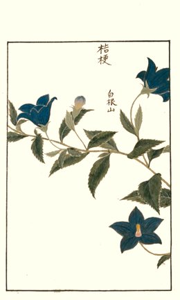 photo14.jpg