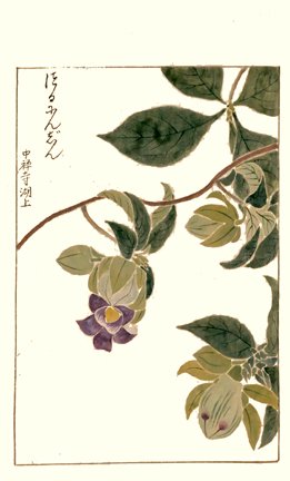 photo140.jpg
