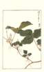 photo144_small.jpg