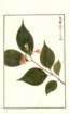 photo146_small.jpg