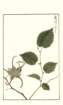 photo149_small.jpg