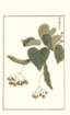photo153_small.jpg