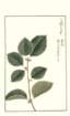 photo157_small.jpg